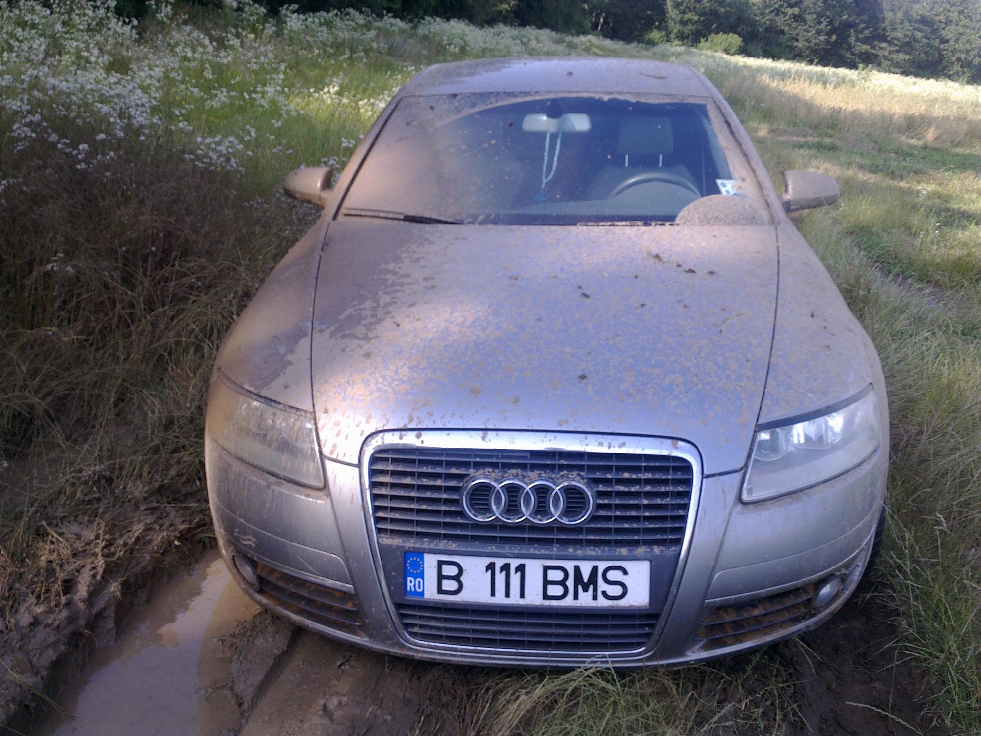 catch & release - 210620101981.jpg